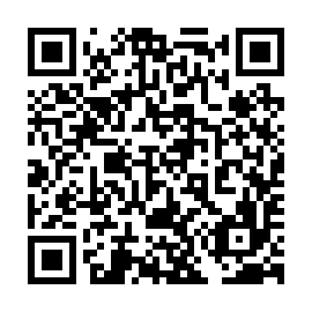 QR code for 4O 3296