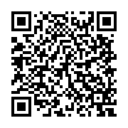 QR code for plate 4O 1596