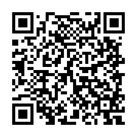 QR code for plate 4O 8584