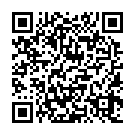 QR code for 4OO338