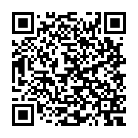 QR code for 4P 0161