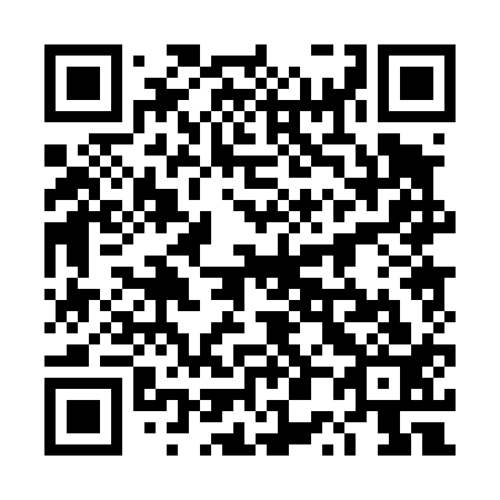QR code for 4P 0413