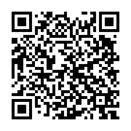 QR code for 4P 0420