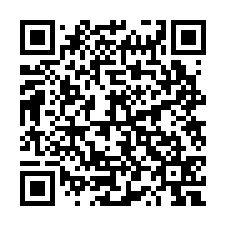 QR code for 4P 2335