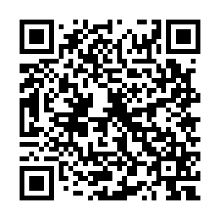 QR code for 4P 5165