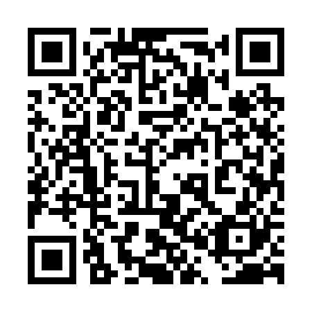 QR code for 4P 5220