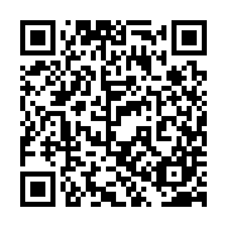 QR code for 4P 5387