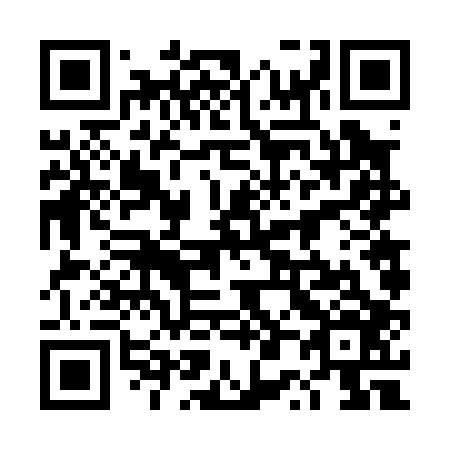 QR code for 4P 6006