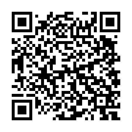 QR code for 4P 6462