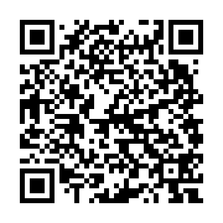 QR code for 4P 6618