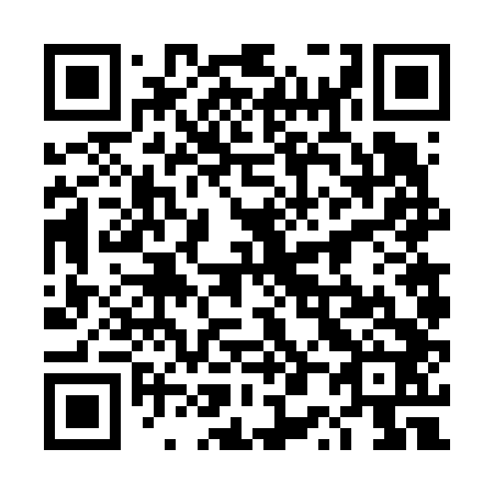 QR code for 4P 6642