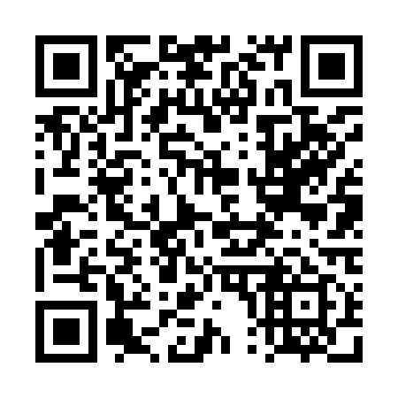 QR code for 4P 6919