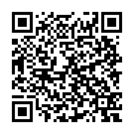QR code for 4P 8733