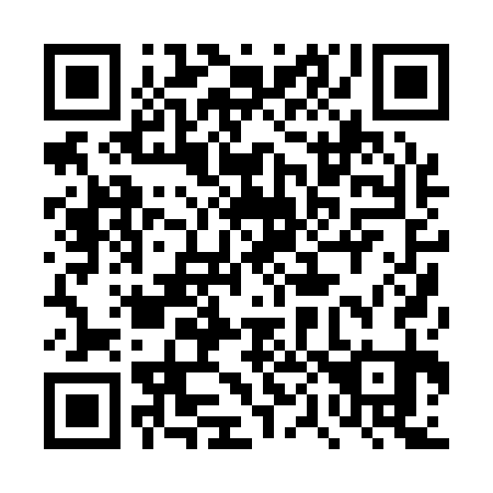 QR code for plate 4P 0131