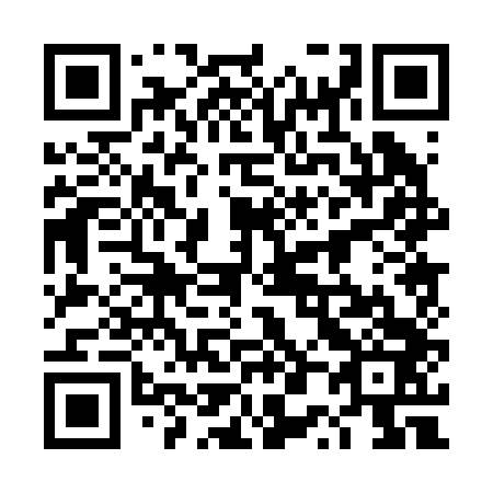 QR code for 4P0243