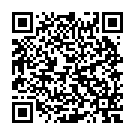 QR code for 4P1295