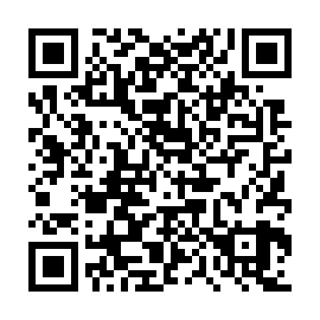 QR code for plate 4P 4729