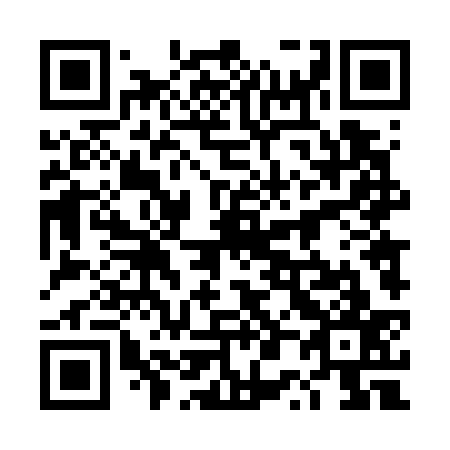 QR code for plate 4P 4737
