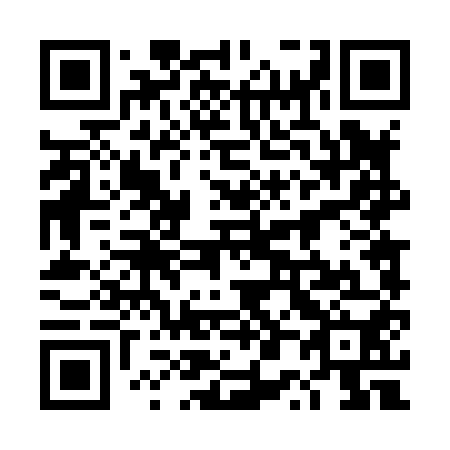 QR code for plate 4P 4850