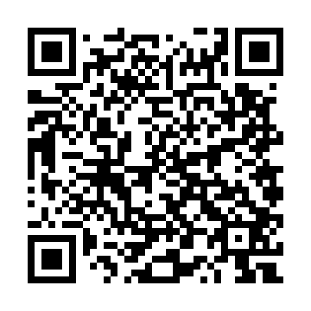 QR code for plate 4P 6502