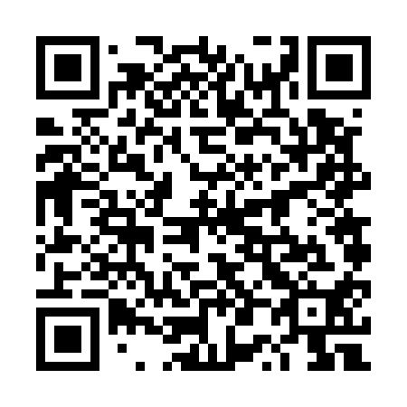 QR code for plate 4P 6510