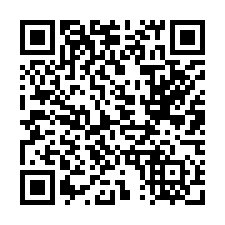 QR code for plate 4P 6950