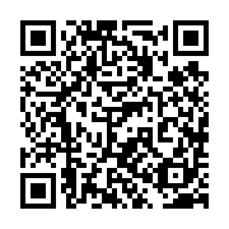 QR code for plate 4P 8690