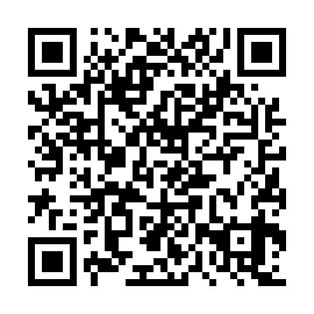 QR code for 4PV 539