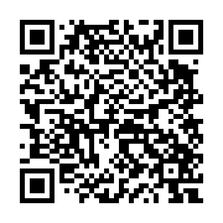 QR code for 4Q 2447