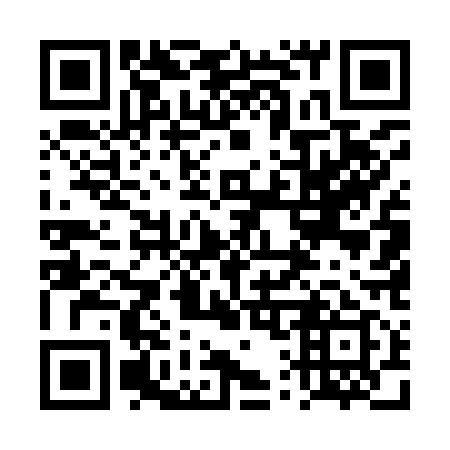 QR code for 4Q 5919