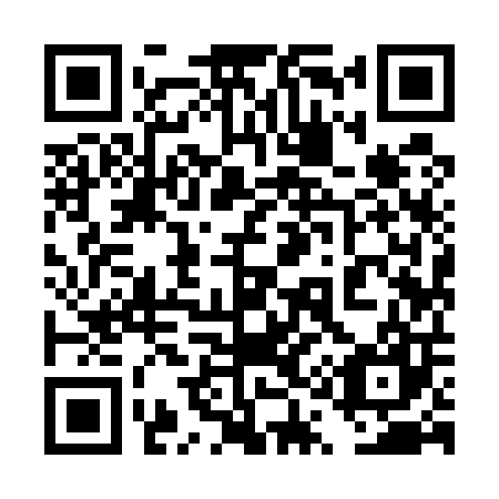 QR code for 4Q 9507