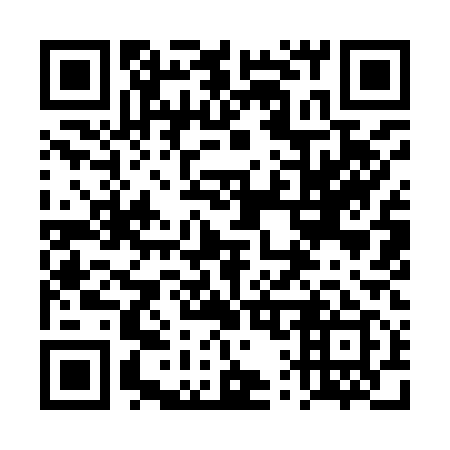 QR code for 4Q 9919