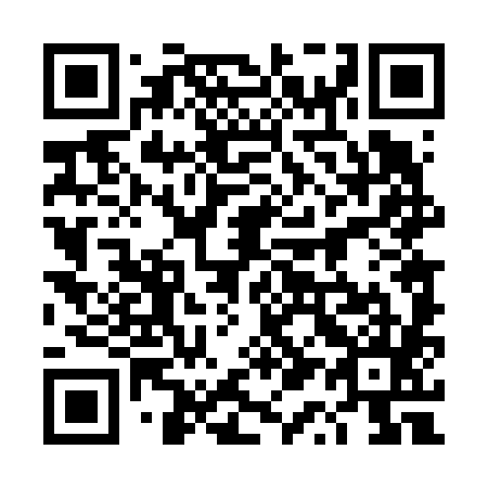 QR code for plate 4Q 4685