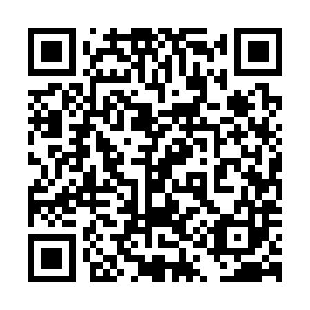 QR code for plate 4Q 5383
