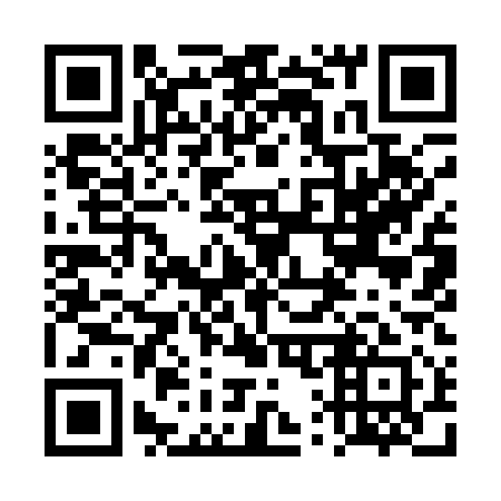 QR code for plate 4Q 9111