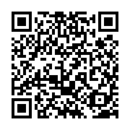 QR code for 4Q9599