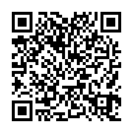 QR code for 4QX161