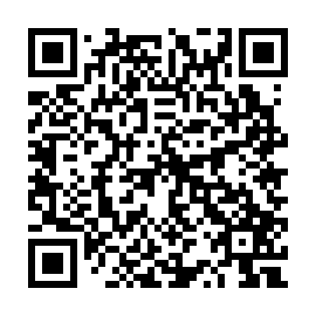 QR code for plate 4RU 307