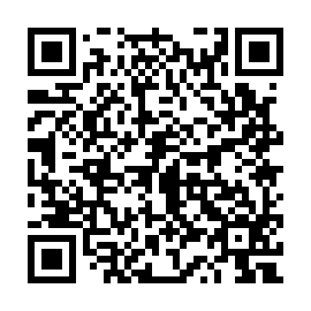 QR code for plate 4S 1196