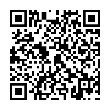 QR code for plate 4SN 861