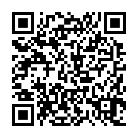 QR code for plate 4SP 384