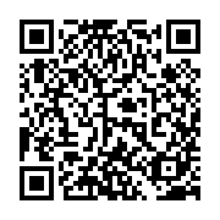 QR code for plate 4T 9081