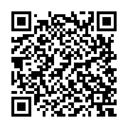 QR code for plate 4TG 903