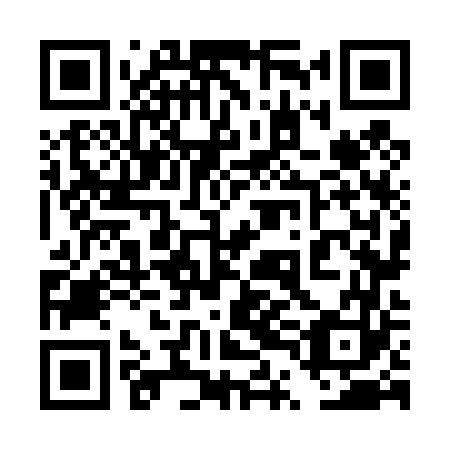 QR code for plate 4TN 463