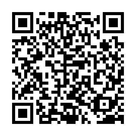 QR code for plate 4TV 379