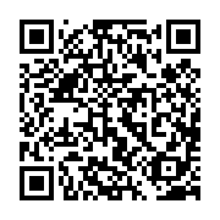 QR code for plate 4U 0498