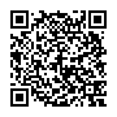 QR code for plate 4U 0638