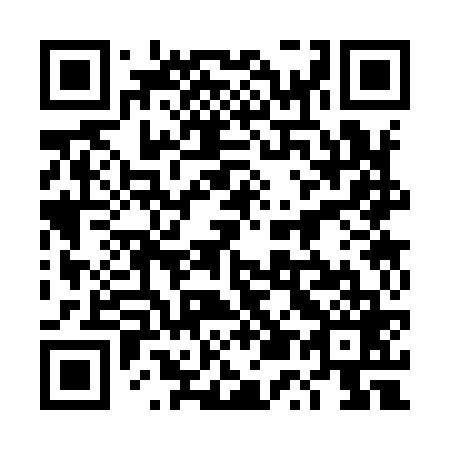 QR code for plate 4U 3969