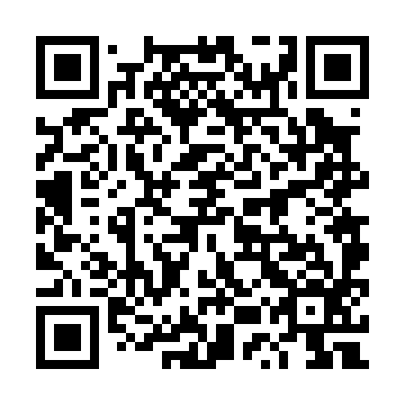 QR code for plate 4UV 096