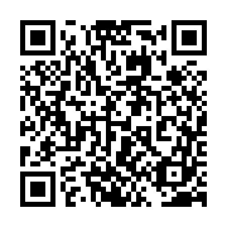 QR code for plate 4V 3863